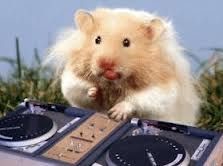 jamz on toast