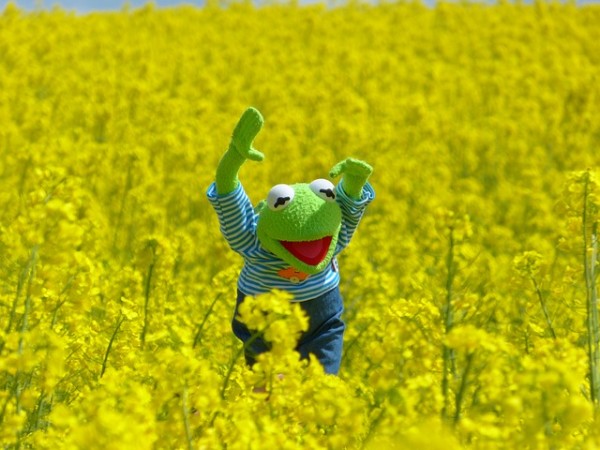 It is Tuesday, my dudes.
